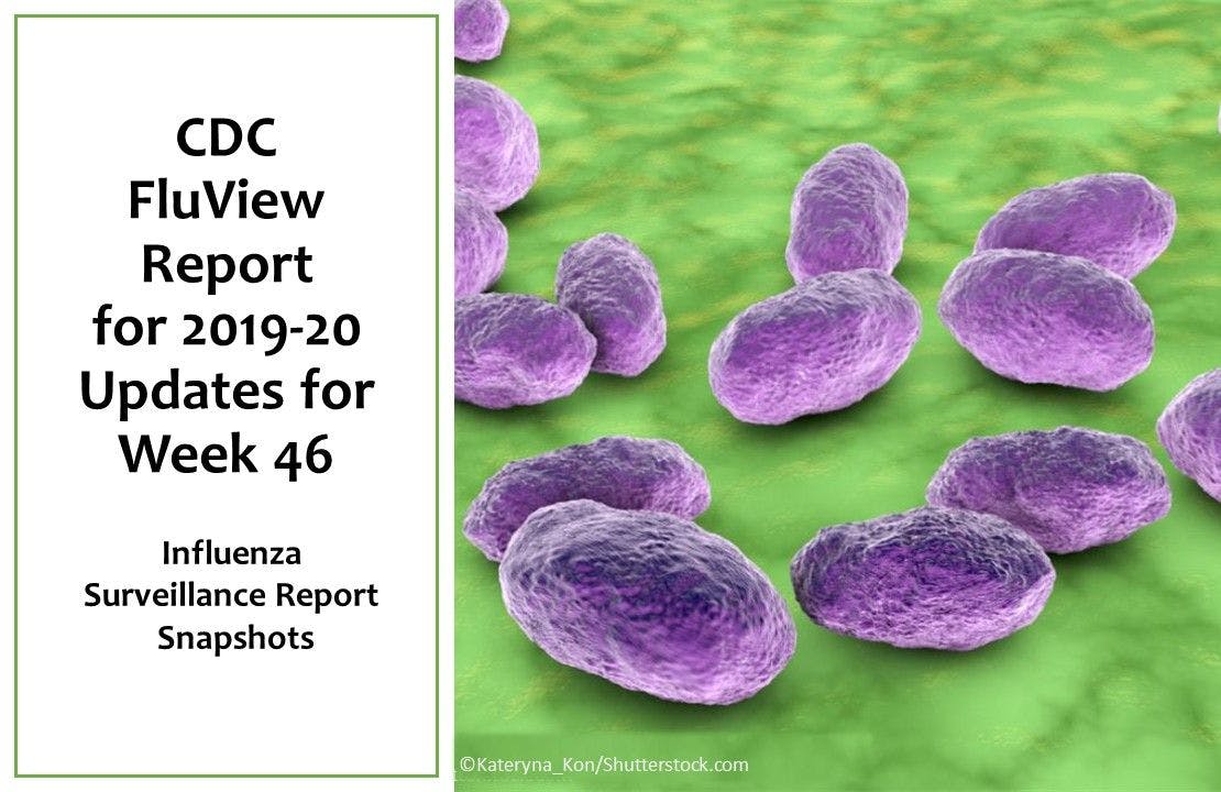 CDC FluView Snapshot for Week 46, 2019-2020