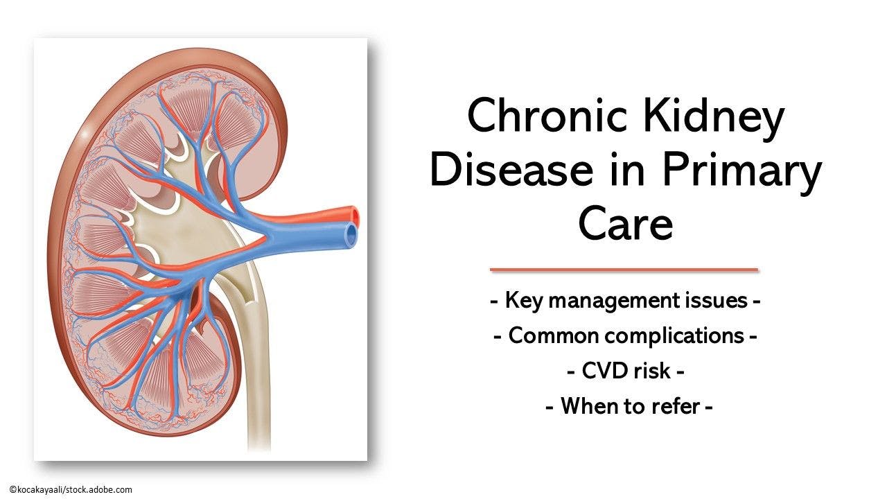 Chronic Kidney Disease in Primary Care: Essential Basics Review image credit kidney ©kocakayaali/stock.adobe.com