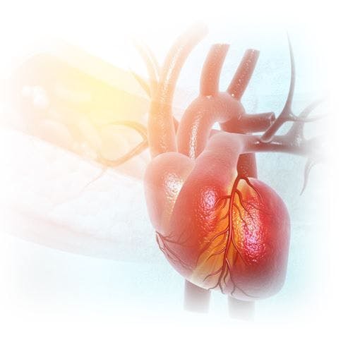 Bempedoic Acid vs statins equally effective for LDL-C, MACE heart image ©Rasi/stock.adobe.com 