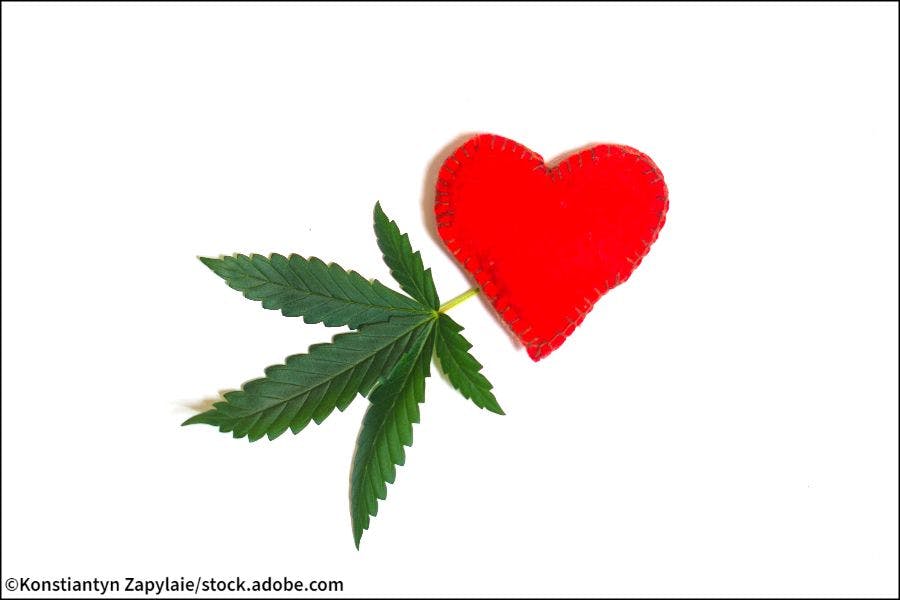 Marijuana leaf, cannabis with red heart isolated on white background.