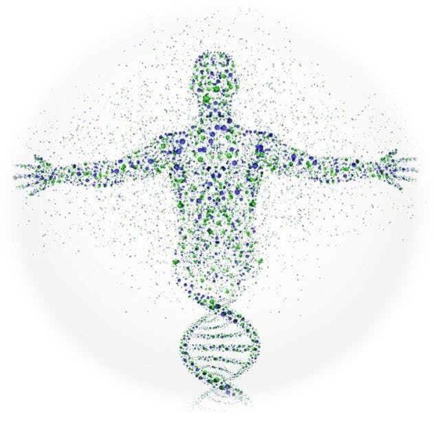 Multiancestry Genetic Study of T2D Expands Potential for Risk Assessment, Treatment 