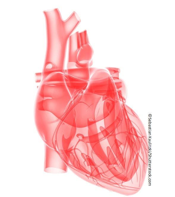 Is Post-TAVR Triple Therapy Safe in Patients with Atrial Fibrillation? 