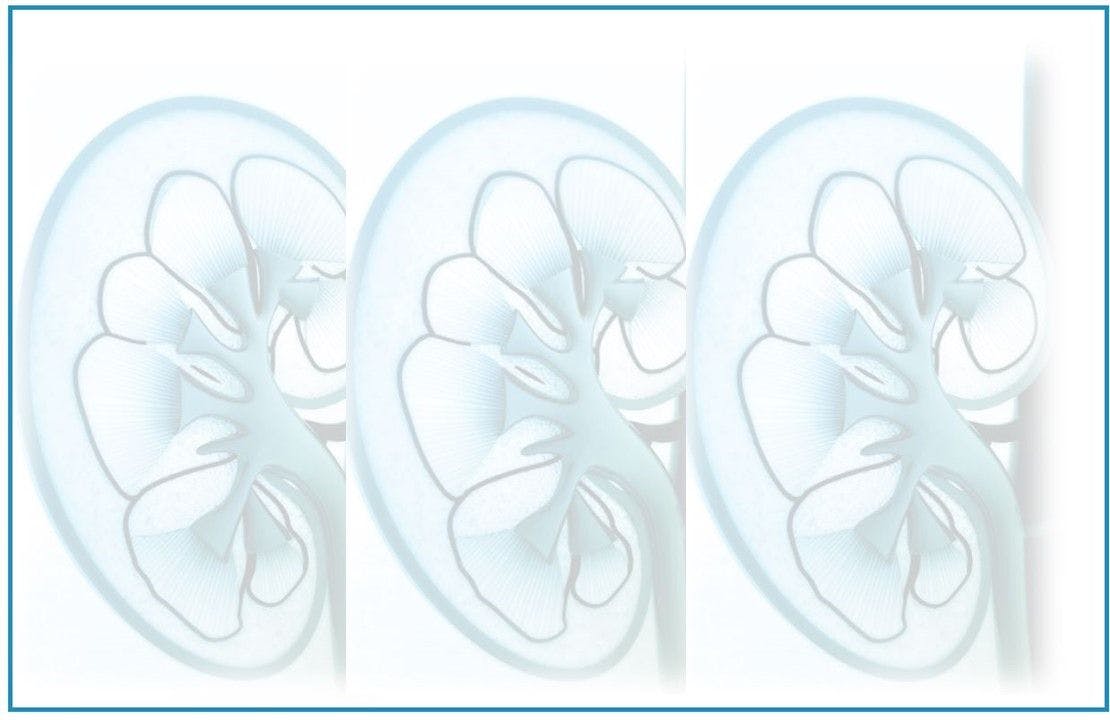 Chronic Kidney Disease: Diagnosis in Primary Care 