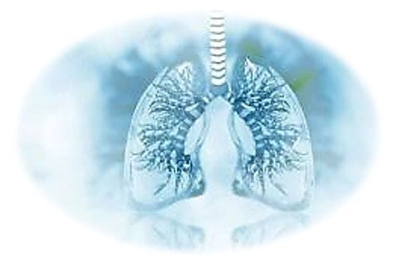 Find and Treat Asthma and COPD: All Interventions Make a Difference, Study Concludes ©Crystal Light/stock.adobe.com
