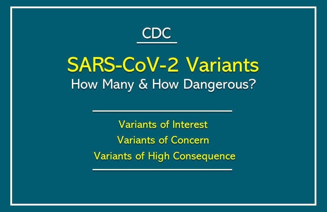 SARS-CoV-2 Variants: How Many and How Dangerous? 