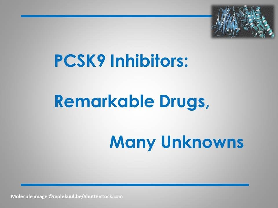 PCSK9 Inhibitors: Remarkable Drugs, Many Unknowns 