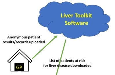 Cloud-Based "Liver Toolkit" Identifies Primary Care Patients at High Risk for Fibrosis, Requiring Referral Image Credit AASLD