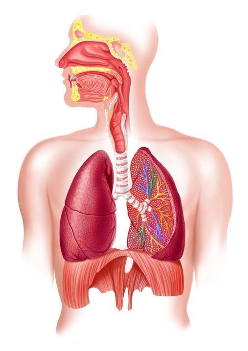 Tezepelumab or Severe Asthma Halves Exacerbation Rates Across Respiratory Comorbidities