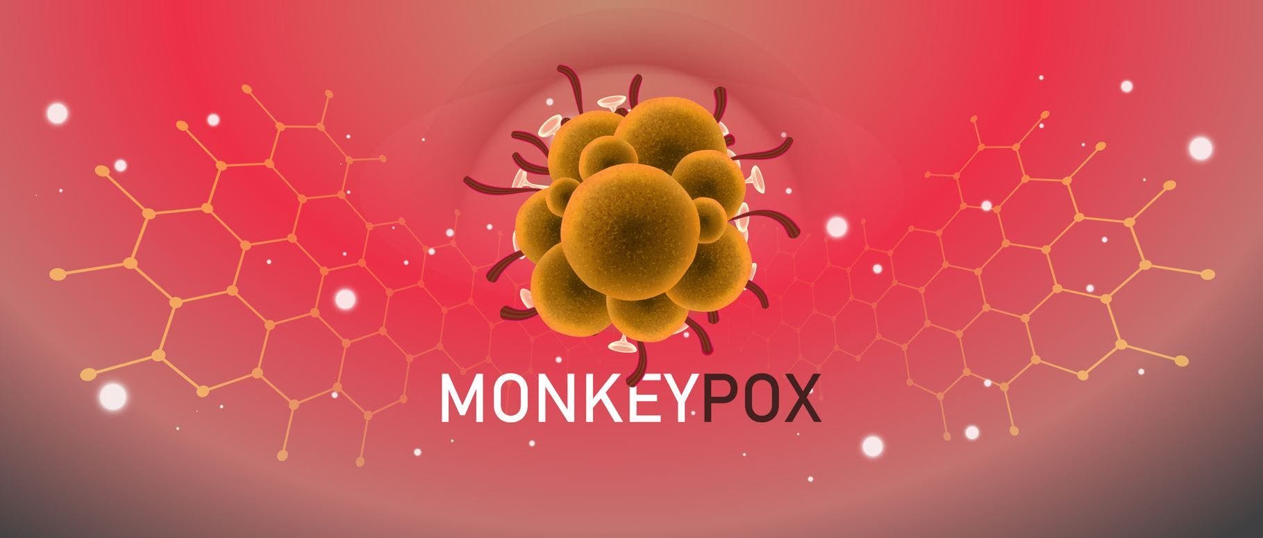 Mayo Clinic Laboratories Begin Monkeypox Testing to Help Increase Access, Availability