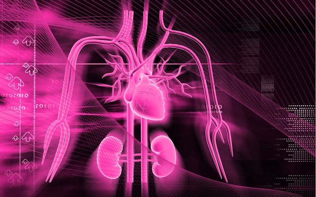 Finerenone Mitigates HF, CV Risk Across Baseline Renal Function in Patients with T2D 