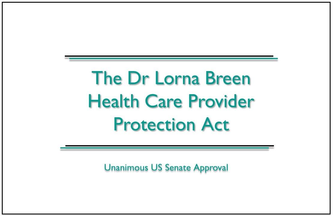 The "Lorna Breen Act" in Short 