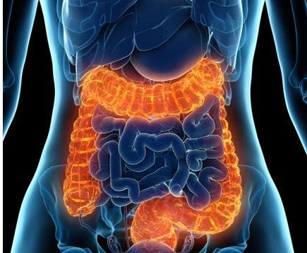 Women with IBD at Risk for Reduced Fertility Even During Clinical Disease Remission, Study Suggests / image credit women's colon:  ©SciePro/stock.adobe.com