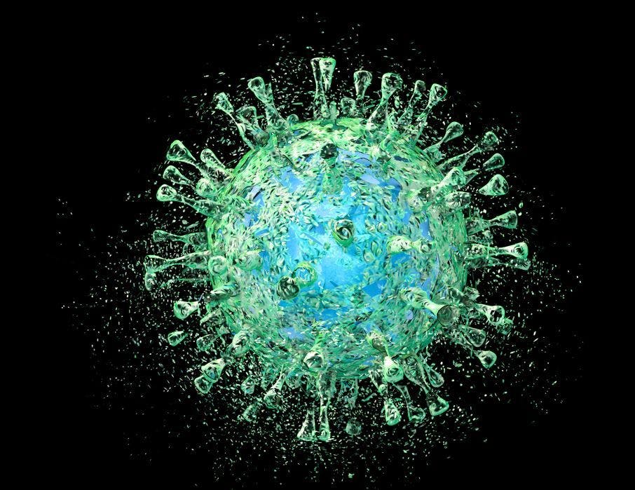 Investigational mRNA CMV Vaccine Ready for Phase 3 Clinical Trial, Based on Results of Phase 2 Safety, Efficacy and Dose-Finding Study / image credit CMV virus ©Dr_Microbe/stock.adobe.com