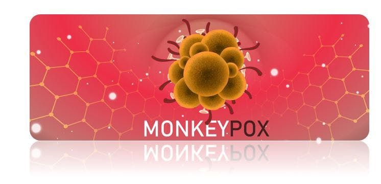 Monkeypox: What We Know About the Outbreak Now