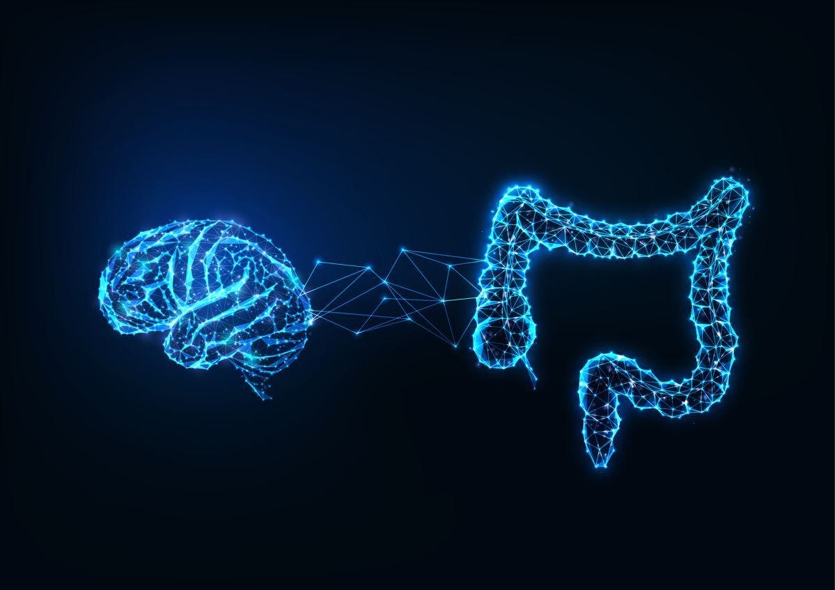 GI Symptoms May Be Characteristic of a Multiple Sclerosis Prodrome, Study Suggests Image credit gut / brain axis ©Inna/stock.adobe.com