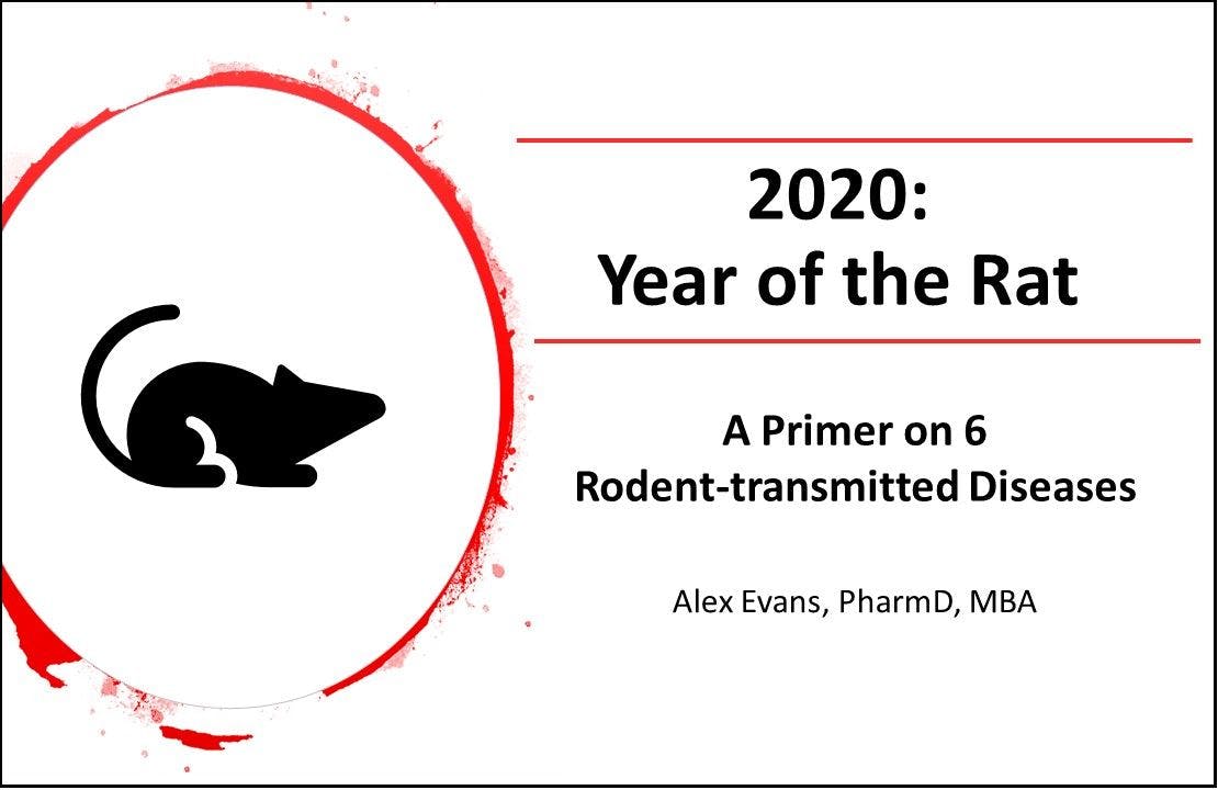 2020: Year of the Rat