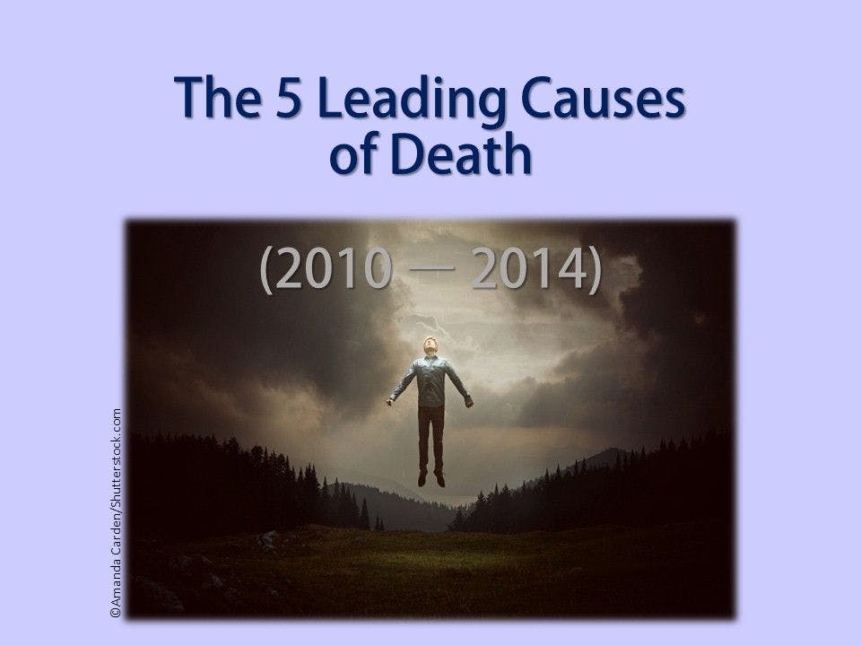 The Top 5 Causes of Death 
