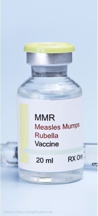 IDWeek 2023: Measles and Rubella Antibodies Persist in Adults after 3 MMR Doses, but Measles Susceptibility May Linger / image credit MMR vaccine ©Sherry Yates Young/Shutterstock.com