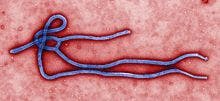 New Ebola Guidelines Offer Sound Advice