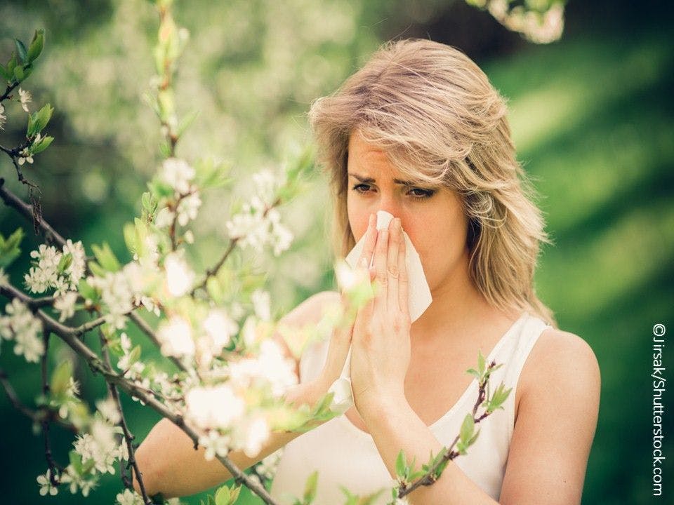 Spring Allergy Quiz: "Rx This, Not That"