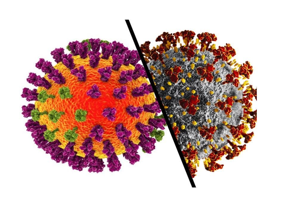 Preliminary Results Support Feasibility, Immunogenicity of Influenza-COVID-19 Combo Vaccine 