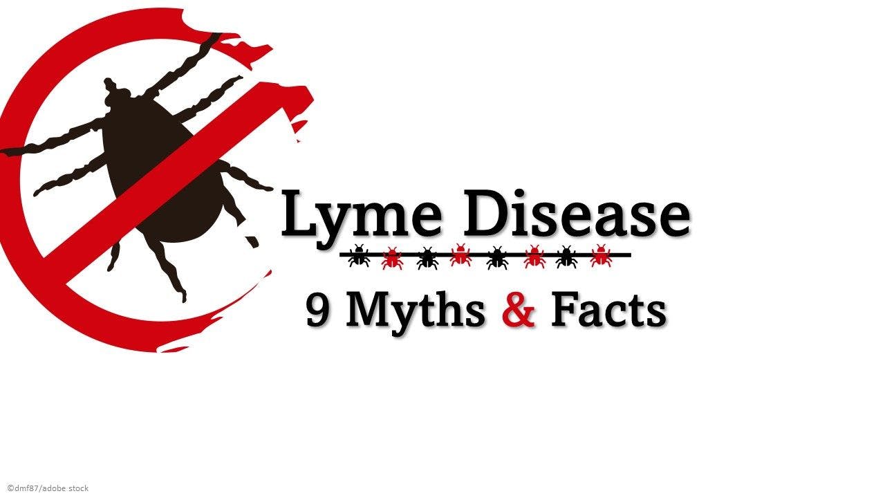 Lyme Disease Myths and Facts 