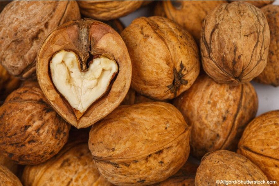 Higher Nut Consumption Linked to Lower Obesity Risk