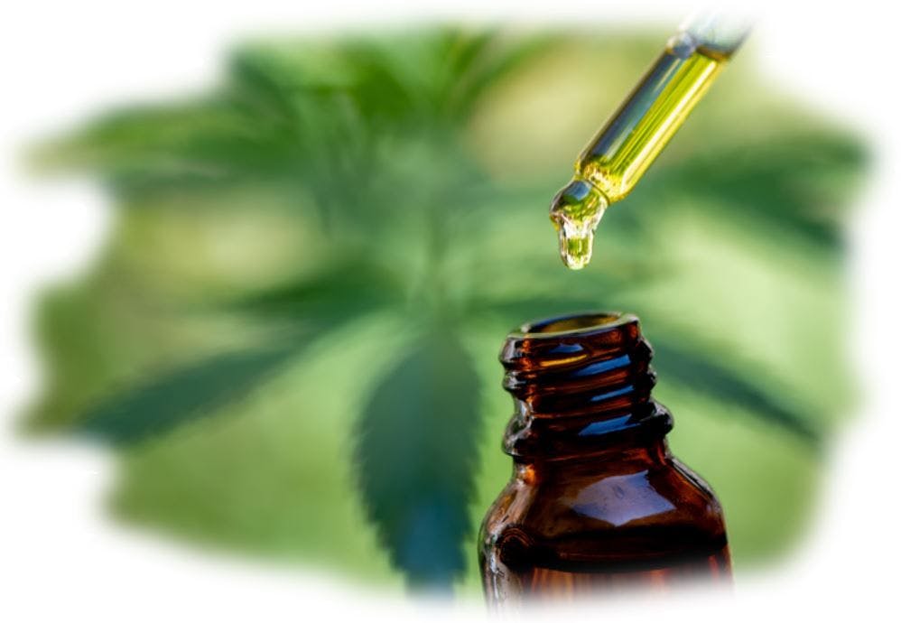 Medical cannabis for cancer pain safe and effective  cannabis leaf, liquid ©EKKAPON/Adobe Stock 