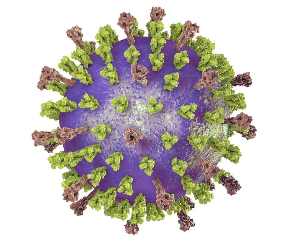 Janssen RSV Vaccine for Older Adults Drives Robust Cellular Immune, Humoral Response