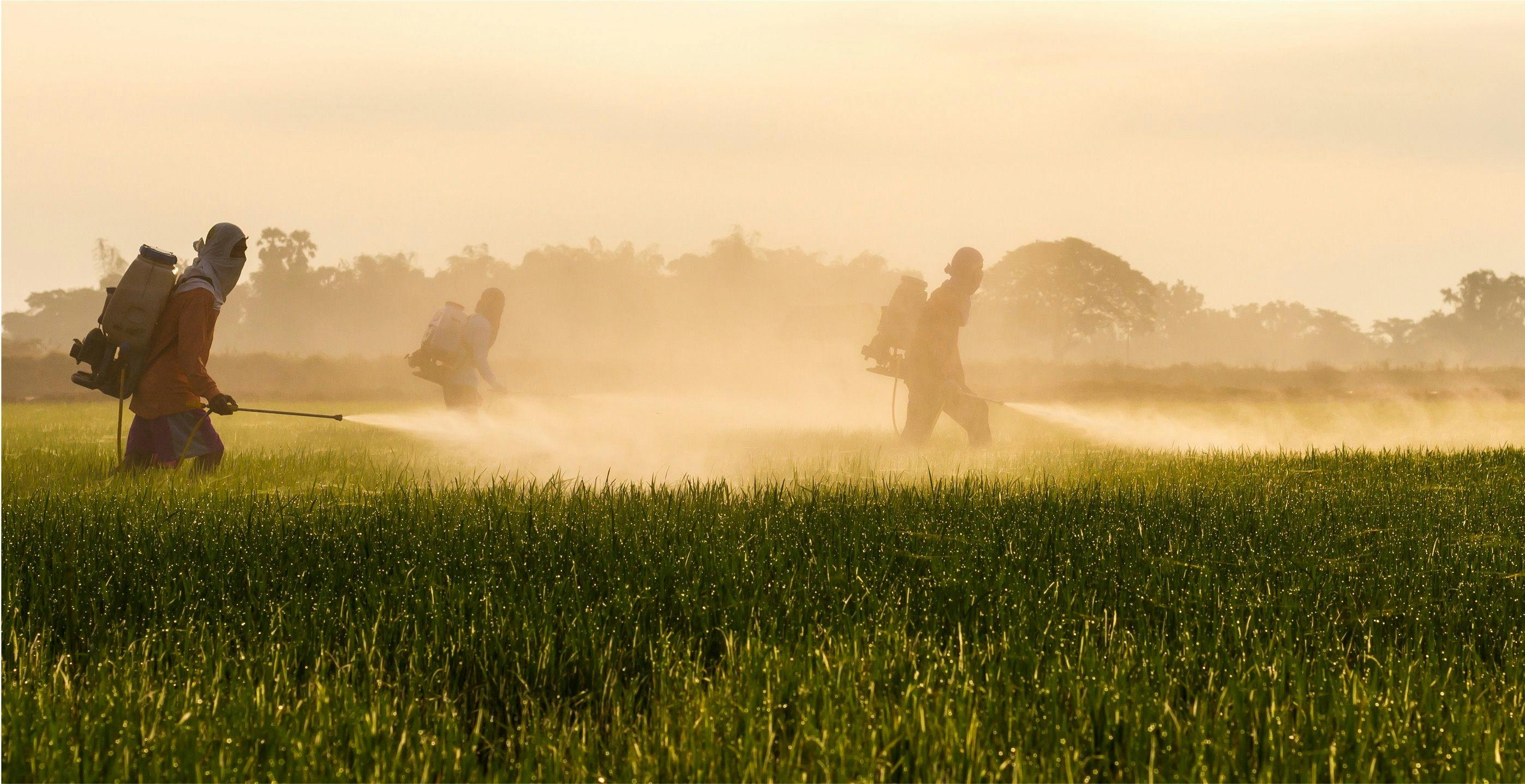 Workplace Pesticide Exposure Tied to Higher Risk of COPD, Suggests New Study