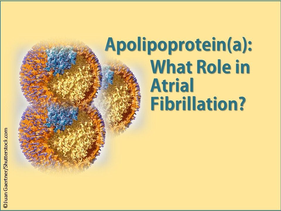 Lipoprotein(a) and Atrial Fibrillation: What Association? 
