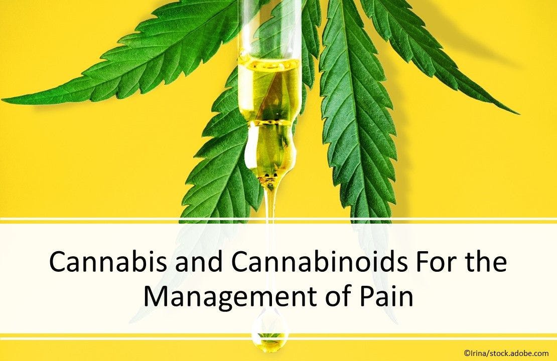 Cannabis and Cannabinoids For the Management of Pain
