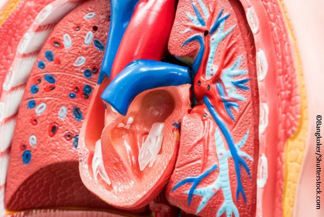 Quiz: Asthma, Lipids, and Left Ventricular Mass 