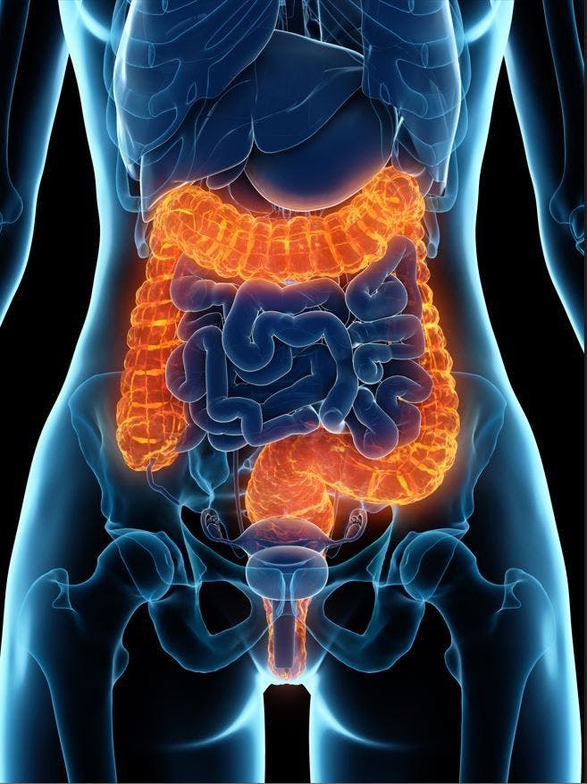 Women with IBD at Risk for Reduced Fertility Even During Clinical Disease Remission, Study Suggests / image credit women's colon:  ©SciePro/stock.adobe.com