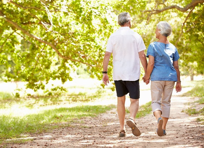 Senior couple walking together in the countryside, back view