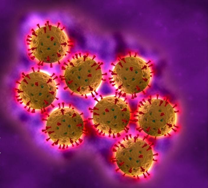 Rotavirus, type 1 diabetes 