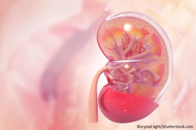 New risk models may help identify risk of chronic kidney diseaes 