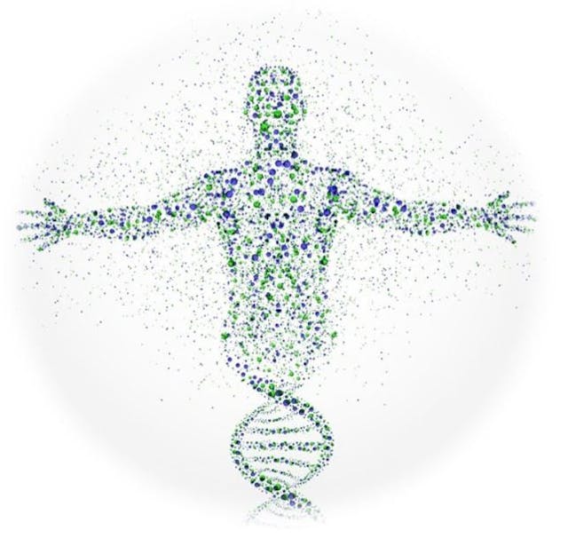 Multiancestry Genetic Study of T2D Expands Potential for Risk Assessment, Treatment 