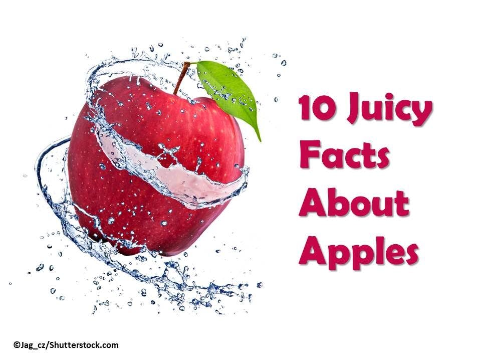 10 Juicy Facts About Apples 