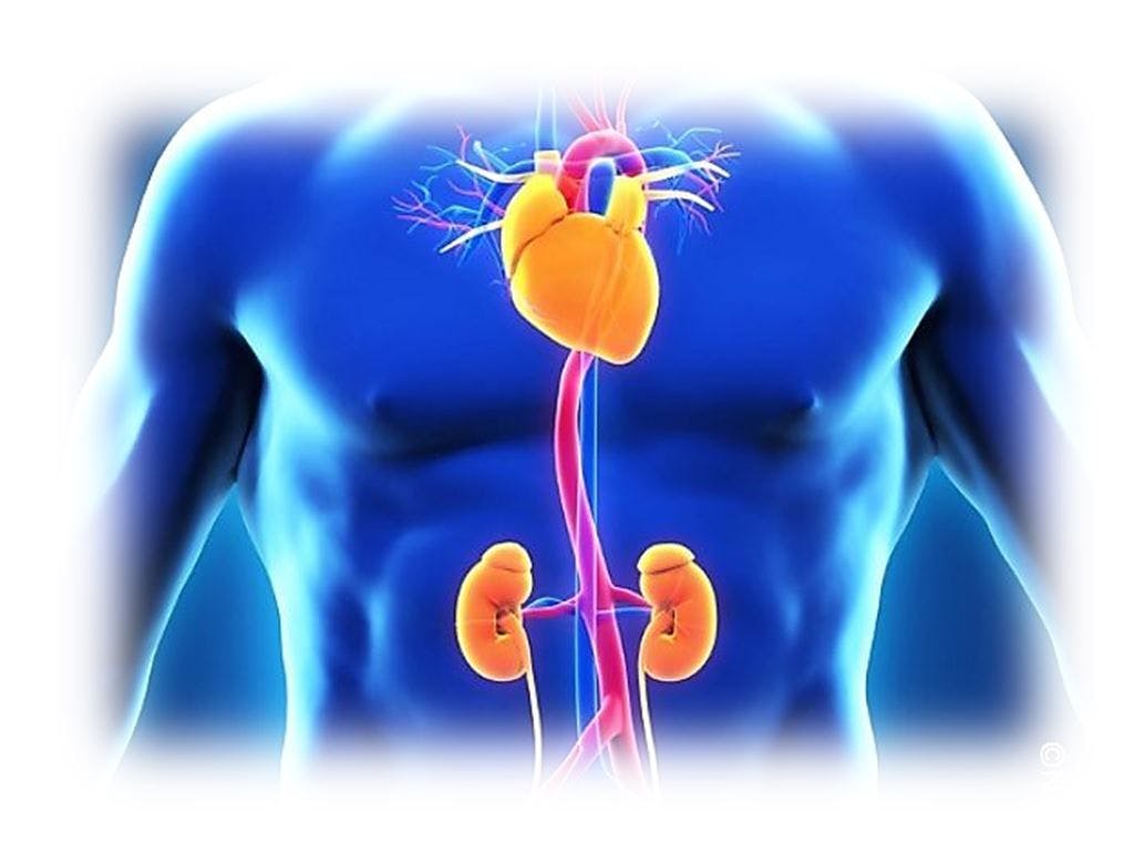 Linagliptin Found Safe in T2DM Patients at High Cardiorenal Risk