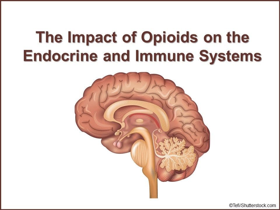 The Impact of Opioids on the Endocrine and Immune Systems