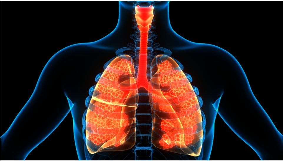 human lungs, asthma