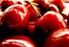 In an Era of Steroids, Febuxostat, and Rasburicase, Can Cherries Prevent Gout?