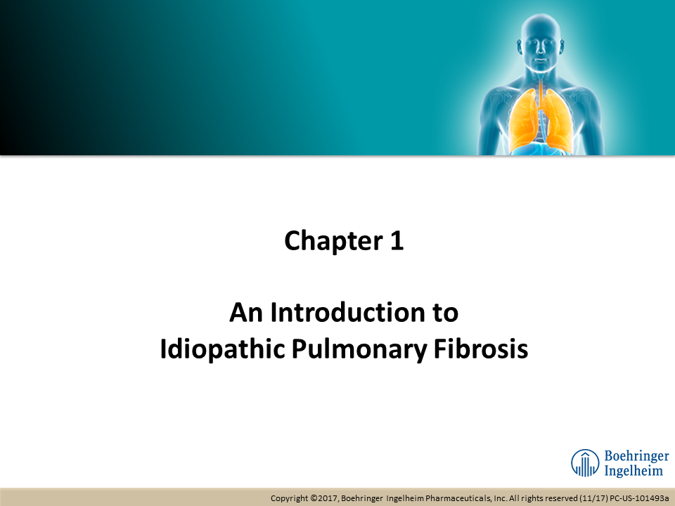 An Introduction to Idiopathic Pulmonary Fibrosis