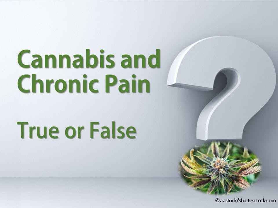 Cannabis and Chronic Pain: True or False?
